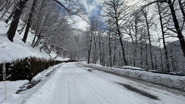 Fototapeta A serene snow-covered road winding through a winter forest with leafless trees