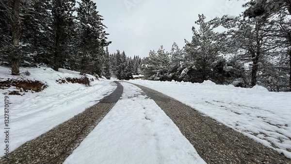 Obraz A snow-covered road and winter forest 