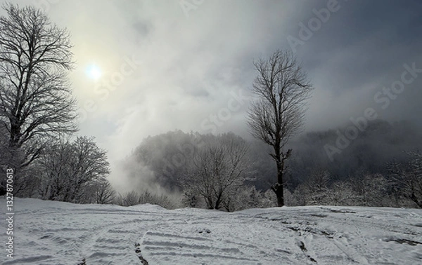 Obraz A serene winter landscape unfolds, where untouched snow blankets the hillside beneath drifting clouds