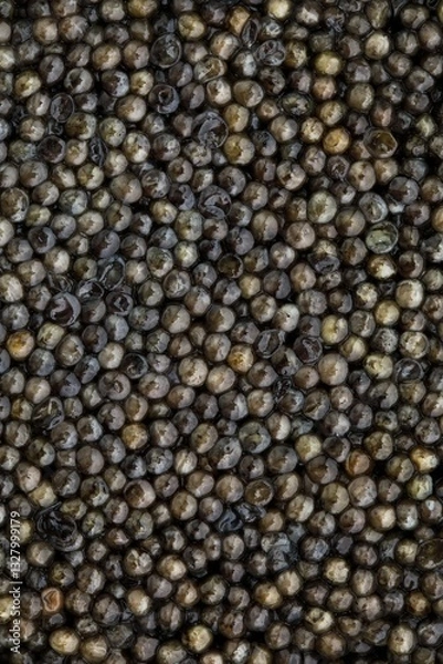 Obraz black caviar background, close-up view