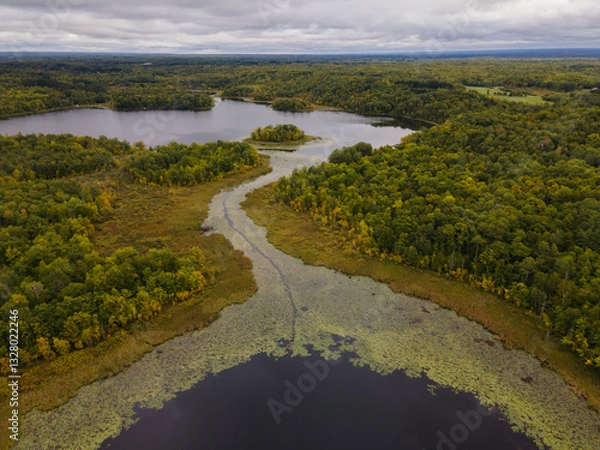 Obraz Aerial View of a Serene River Winding Through a Lush Forest in Minnesota