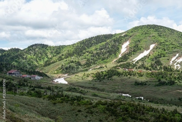 Obraz 白山南龍ヶ馬場