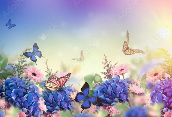 Fototapeta Amazing background with hydrangeas and daisies. Yellow and blue flowers on a white blank. Floral card nature. bokeh butterflies.