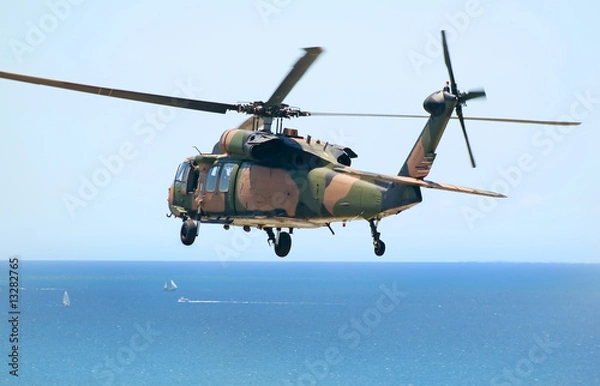 Obraz Army Blackhawk