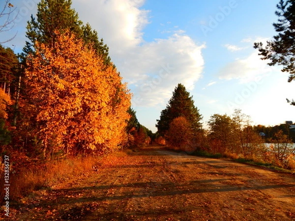 Obraz осень вечер дорога