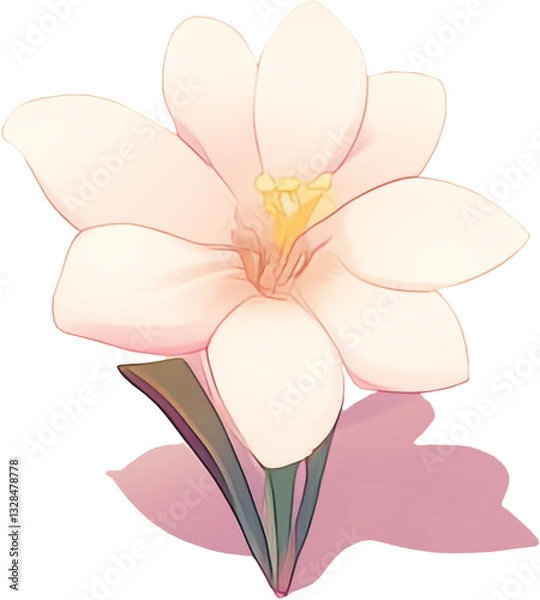 Obraz pink orchid on white background