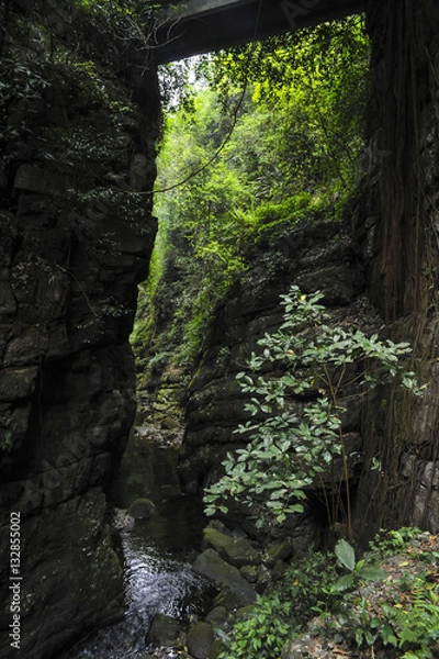 Obraz Nature in China
