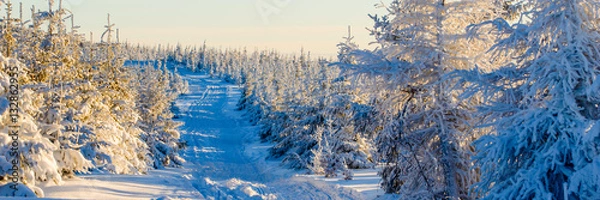 Obraz Winter in mountain