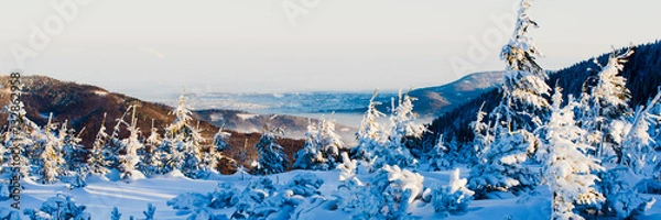 Obraz Winter in mountain