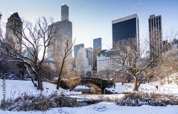 Obraz gapstow bridge in central park