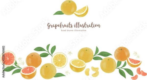 Fototapeta いろいろなグレープフルーツの手描きイラスト/ワイド