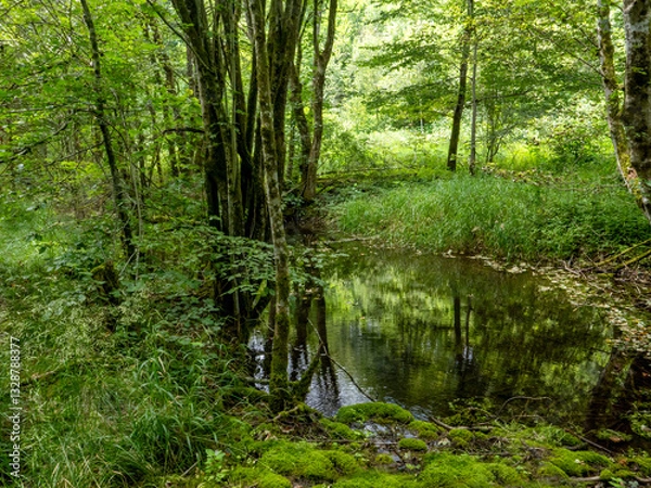 Fototapeta Idyll in the Mangfall valley, Munich's water reservoir.