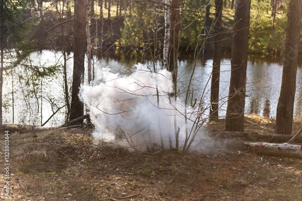 Fototapeta The smoke of an incipient fire in a wild forest. A fire-hazardous situation of flames among the trees. Protect the forest from fire.