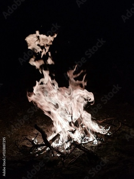 Obraz fire in the fireplace