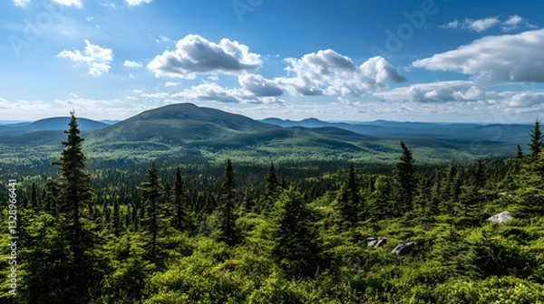 Fototapeta 
Mount Carleton Provincial Park, New Brunswick – Highest peak in the Maritimes