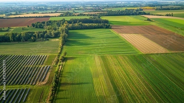 Obraz Agricultural Field with Wildlife Corridor