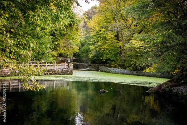 Obraz Shramm Park Hatchery