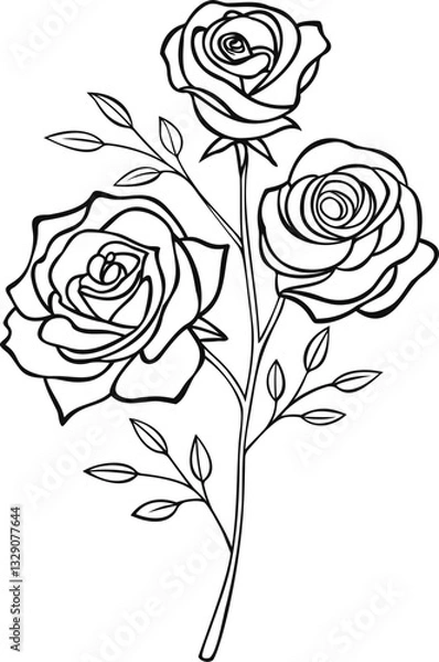 Obraz rose vector illustration