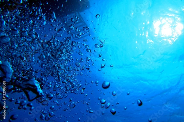 Fototapeta 海中写真