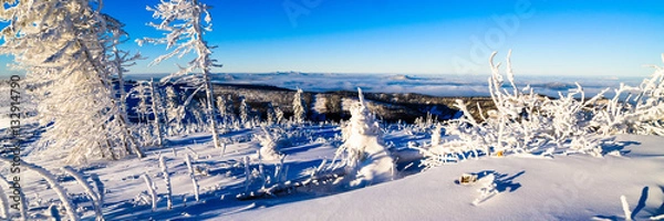 Obraz Winter in mountain