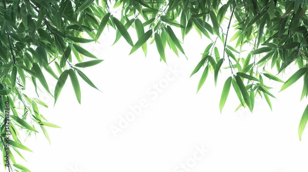 Obraz Captivating Bamboo Foliage Frame against a Bright Field in a Serene Arrangement