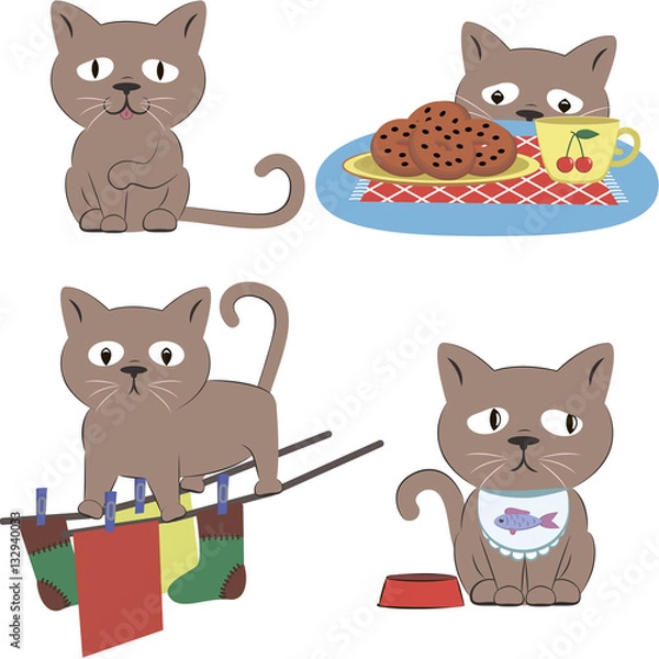 Obraz Life cute gray cat