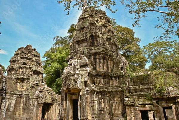 Obraz The Tombraider temple (Ta prohm) in Cambodia