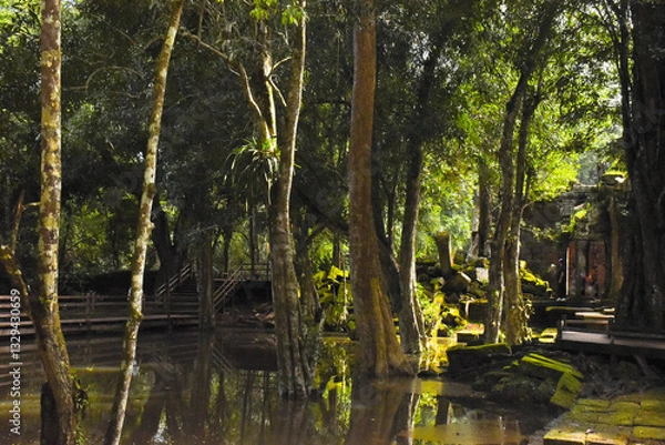 Obraz The Tombraider temple (Ta prohm) in Cambodia