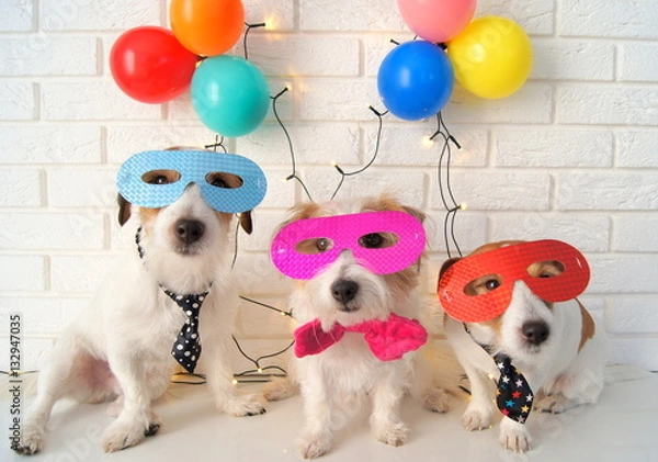 Fototapeta Dogs party