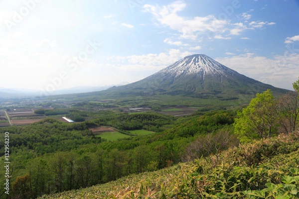 Fototapeta 春の羊蹄山麓