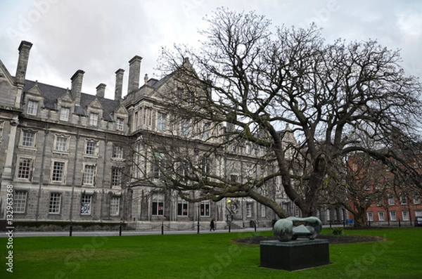 Obraz Trinity College a Dublino