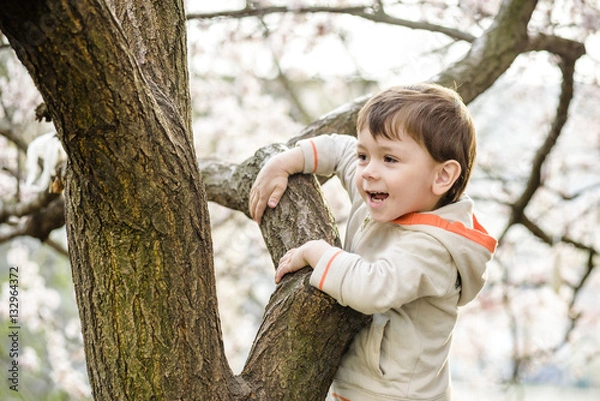 Obraz toddler boy in spring time near the blossom tree