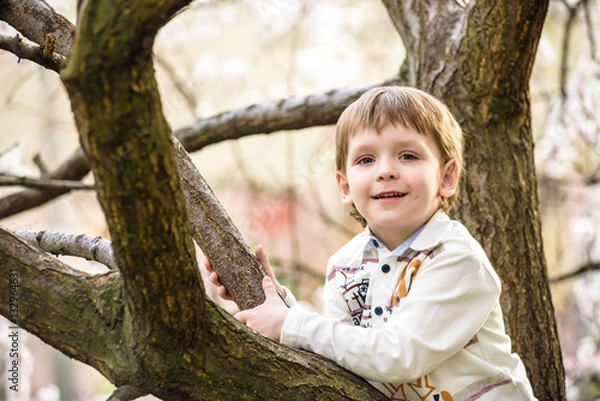 Obraz toddler boy in spring time near the blossom tree