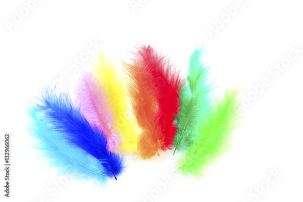 Obraz 
Colorful feathers backround
