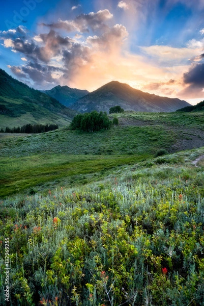 Fototapeta Crested Butte