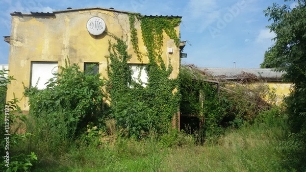 Obraz Vecchio edificio