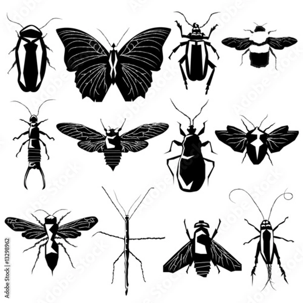 Fototapeta Insects and bugs in vector silhouette