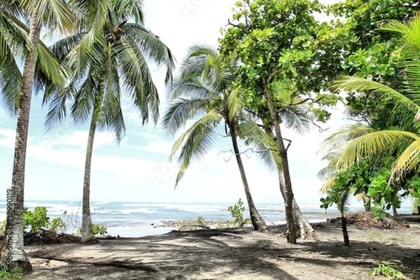 Obraz Tropical Beach and Palm Trees