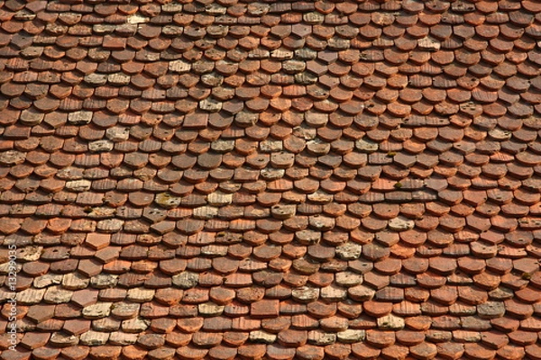 Obraz Alte Dachziegel