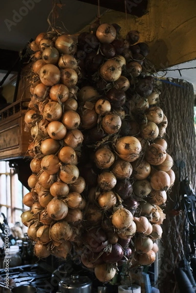 Obraz 農場の玉ねぎの乾燥過程