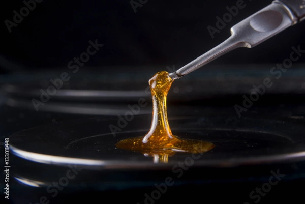 Obraz Roztopiony koncentrat oleju z konopi indyjskich znany również jako shatter trzymany na dabbing
