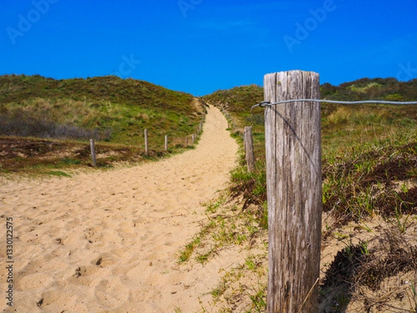 Fototapeta Pathway, Ter Yde dunes - Oostduinkerke, Belgium - horizontal