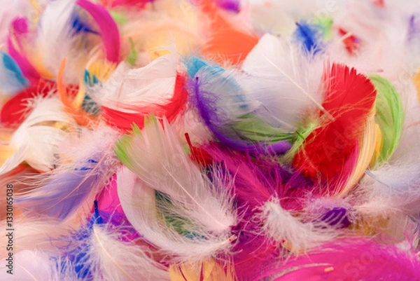Fototapeta Colorful feather background, top view.