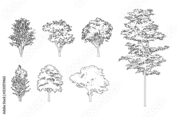 Fototapeta Minimal style cad tree line, Side view, set of graphics trees elements outline symbol for architecture and landscape design drawing. Vector illustration in stroke fill in white. Tropical