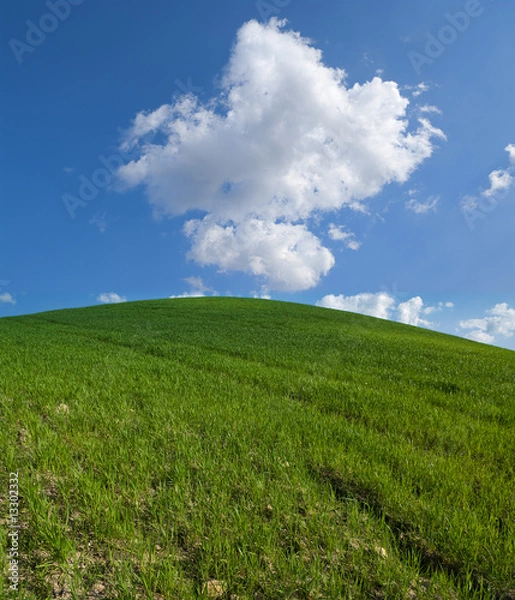 Obraz green hill with white clouds