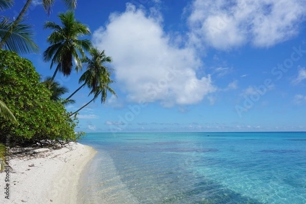 Obraz French Polynesia Apataki Atoll