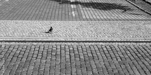 Obraz Mediaspree Berlin Oberbaumbrücke