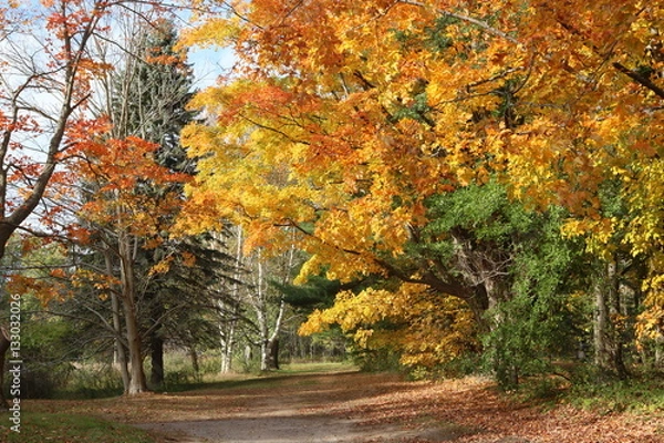 Obraz Autumn splendor