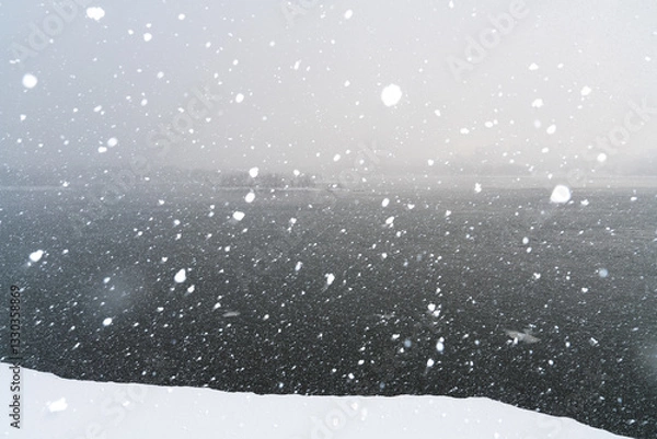 Fototapeta Large white snowflakes on a dark natural background. Snowfall on the shore.