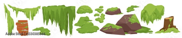 Fototapeta Green moss and lichen set. Swamp plant and liana hanging on forest tree branch, grass and oakmoss growth on brown stump and brick wall, mossy rocks and stones collection cartoon